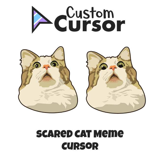 scared meme cat