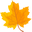 Autumn Maple Leaf  Orange Pointer