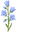 Bellflower Plants Blue Pointer