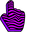 Purple Zebra Pointer