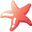 Minimal Starfish Red Pointer
