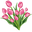 Tulips Pink Pointer