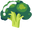 Minimal Broccoli Green Pointer