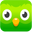 Duolingo Green Pointer