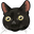 Frightened Cat Black Pointer