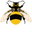 Yellow-Black Bumblebee Pointer
