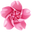 Origami Plumeria and Sakura Flowers Pink Pointer