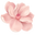 Cherry Blossom Light Pink Pointer