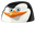 Madagascar Skipper Penguin Black White Pointer