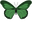 Malachite Green Butterflies Green Pointer