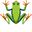 Red-Eyed Tree Frog Green Pointer