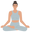 Yoga Gray Pointer