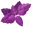 Green and Purple Basil Leaves Pointer