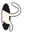 White Cat in a Teleport Black Pointer
