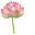 Pink Water Lily Green Pointer