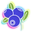 Neon Raspberry and Blueberries Blue Green Pointer
