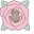 Pusheen and Tender Flowers Gray Pink Green Pointer