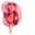 Kiwi and Strawberry Popsicles Red Pink Pointer
