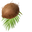 Coconut on Palm Leaves Brown Green Pointer