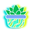 Neon Succulents in Plant Pots Green Cyan Blue Pointer