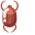 Minimal Scarab Beetle Brown Pointer