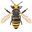 Yellowjacket Wasp Black Yellow Pointer