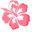 Minimal Pink Hawaiian Hibiscus Pointer