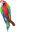 Green-Winged Macaw Red Green Blue Pointer