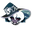 Cookie Run Dark Enchantress in Lily Underneath the Dark Moon Teal Gray Pointer