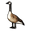 Canada Goose Brown White Black Pointer