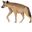 Spotted Hyena Brown Pointer