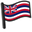 Hawaii Flag Pointer