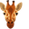 Giraffe Pointer