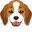 Cute Beagle Puppy Pointer