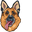 German Shepherd Dog Pointer
