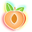 Orange Peach Neon Pointer