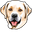 Labrador Retriever Dog Pointer