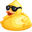 Cool as Duck Meme pointer