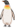 Penguin Pointer