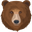 Brown Bear Face Pointer