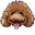Toy Poodle Dog Pointer