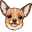 Chihuahua Dog Pointer