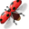 Ladybug Pointer