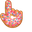 Materials Donut Pointer