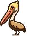 Cute Brown Pelican Pointer