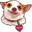 Chihuahua Lily Lu Meme Pointer