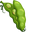 Green Bean Pointer