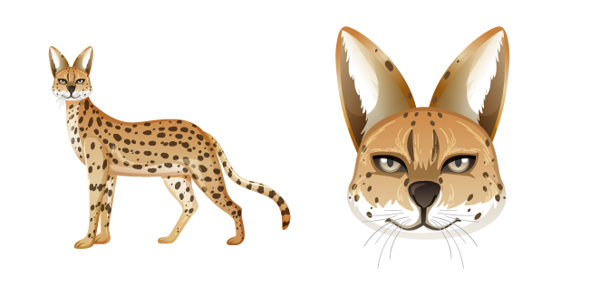 Serval Africano Cursor