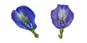 Курсор Clitoria Ternatea aka Butterfly Pea