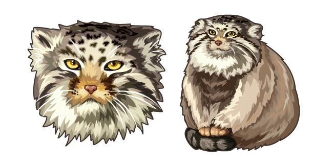 Gato de Pallas alias Manul Cursor